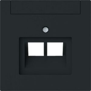 Busch-Jaeger Zentralscheibe 2-fach, UAE mit Beschriftungsfeld 1803-02-45M – Bild 1