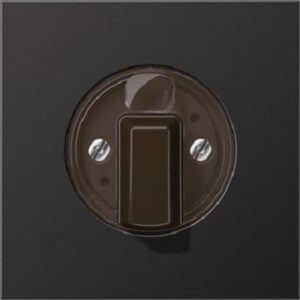 Jung Abdeckung für  Drehschalter AL1941D – Bild 1