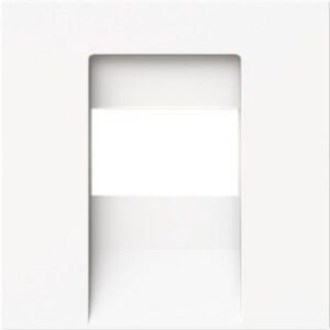 Busch-Jaeger Zentralscheibe 1766-44M – Bild 1