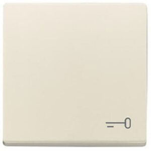 Busch-Jaeger Wippe mit Aufd.Schlüssel solo elfenbeinweiss 2520TR-82 – Bild 1