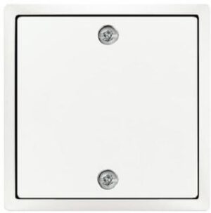 Busch-Jaeger Zentralscheibe für Zugsch. future linear studioweiß 1796-884 – Bild 1