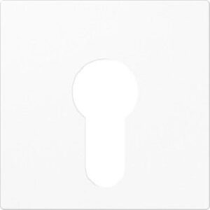 Jung Abdeckung für Schlüsselschalter flache Ausführung alpinweiss A525PLWW – Bild 1