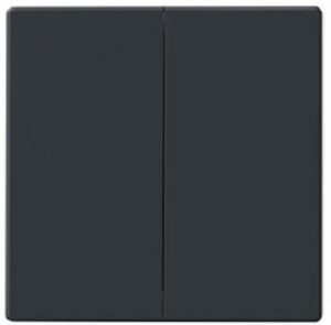 Busch-Jaeger Wippe 6736FOH-81 – Bild 1