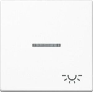 Jung Wippe Kontroll A500 Symbol Licht mit Linse alpinws A590KO5LWW – Bild 1