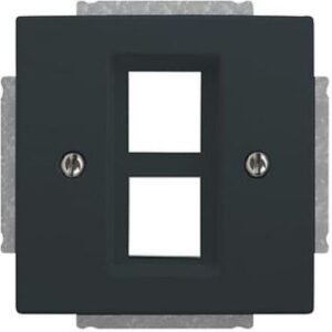 Busch-Jaeger Z-Scheibe 2 Modular-Jack future linear anthrazit 2561-02-81 – Bild 1