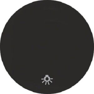 Berker Wippe schwarz glänzend mit Aufdruck Licht 16202035 – Bild 1