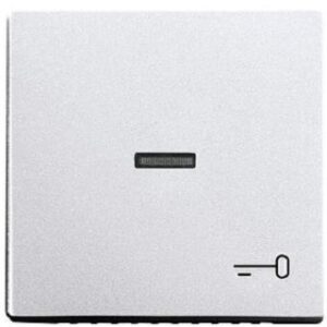 Busch-Jaeger Wippe Symbol Schlüssel future linear alusilber 1789TR-83 – Bild 1