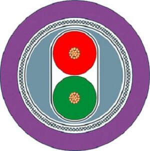 Siemens Flexkabel Net PB FC GP,2adrig 6XV1831-2K – Bild 1