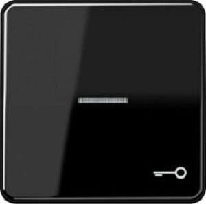 Jung Wippe Symbol Tür für beleuchteten Taster schwarz CD590KO5TSW – Bild 1