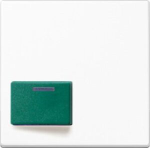 Jung Abdeckung Ackermann 73642 C A500 AbstellTaster u.Schallg.alpinws A642CWW – Bild 1