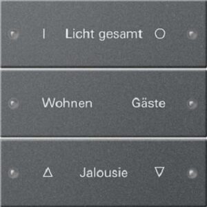 Gira Wippenset 3-fach beschriftbar System 55 anthrazit 220328 – Bild 1