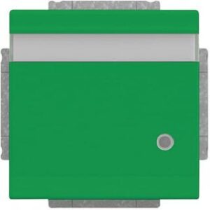 Busch-Jaeger SCHUKO Steckdose mit Deckel mit Beschriftung future linear grün 20EUKNBL-13-82 – Bild 1