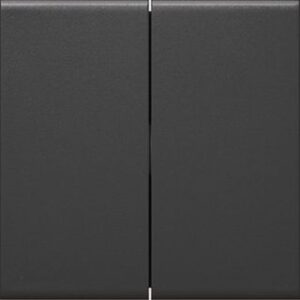 Hager Wippe 2-fach Schalter/Taster, gs GW2B9011 – Bild 1