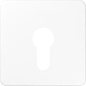 Jung Abdeckung für Schlüsselschalter flach alpinweiss CD525WW – Bild 1