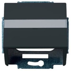 Busch-Jaeger Zentralscheibe DKS-System solo anthrazit 1758-81 – Bild 1