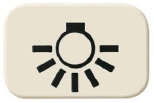 Busch-Jaeger Tastersymbol Licht Duro 2000 SI 2525LI – Bild 1