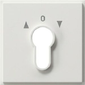 Gira Abdeckung für Schlüsselschalter TX_44 System 2000 Knebel reinweiss 066466 – Bild 1