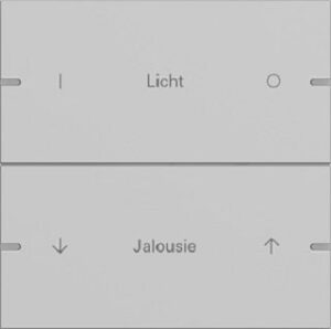 Gira Wippenset 2fach individuell für Tastsensor4 TS4 Grau matt lackiert 5032915 – Bild 1