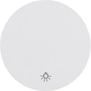 Berker Wippe polarweiß glänzend mit Aufdruck Licht 16202079 – Bild 1