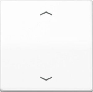 Jung Wippe für Taster BA 1-fach alpinweiss AS591PWW – Bild 1