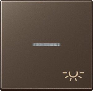 Jung Wippe mit Symbol Licht Linse und Lichtleiter beleuchtbar A590KO5LMO – Bild 1