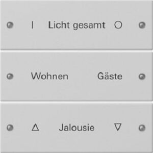 Gira Wippenset 3-fach beschreibbar System 55 Grau matt lackiert 2203015 – Bild 1