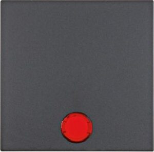 Berker Wippe anthrazit matt mit 5 beiliegende Linsen 16211606 – Bild 1