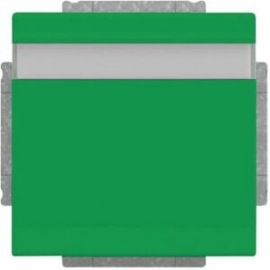 Busch-Jaeger SCHUKO Steckdose mit Klappdeckel mit Beschriftung future linear grün 20EUKNB-13-82 – Bild 1