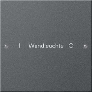 Gira Wippenset 1-fach beschriftbar System 55 anthrazit 220128 – Bild 1