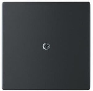 Busch-Jaeger Zentralscheibe future linear schwarz-matt 1745-885 – Bild 1