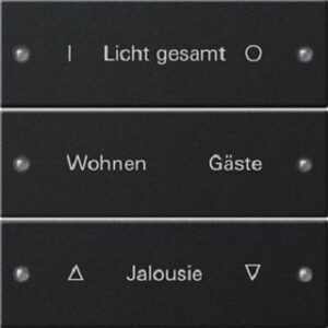 Gira Wippenset 3-fach beschreibbar System 55 Schwarz matt lackiert 2203005 – Bild 1