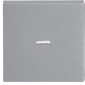 Busch-Jaeger Kontrollwippe transparente Kalotte future linear alusilber 1789N-83 – Bild 1