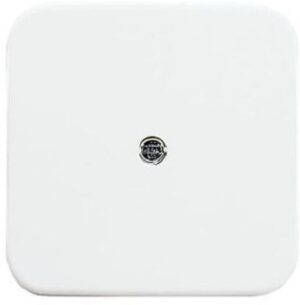 Busch-Jaeger Zentralscheibe VDo Dosen Reflex SI alpinweiss 2536-214 – Bild 1