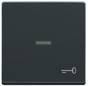 Busch-Jaeger Wippe mit Symbol Schlüssel solo anthrazit 1789TR-81 – Bild 1