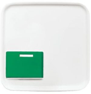 Busch-Jaeger Zentralscheibe, alpinweiß,  Datenkommunikation, Licht-Ton-Rufsysteme 2548-642C-214-101 – Bild 1