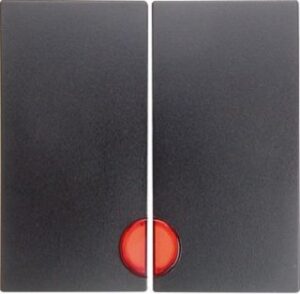 Berker Wippe anthrazit matt mit roter Linse 16271606 – Bild 1