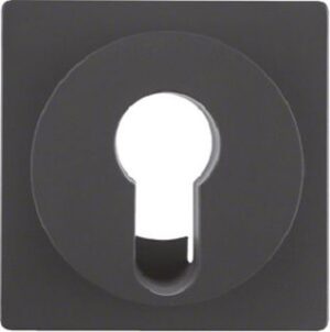 Berker Zentralstück anthrazit samt für Schlüsselschalter 15076086 – Bild 1