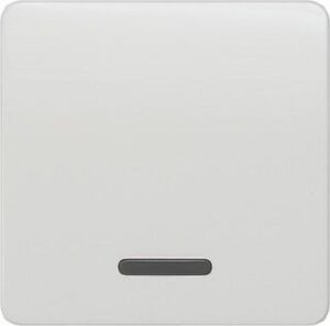 Siemens profil Wippe mit Fenster, tws 5TG7800 – Bild 1