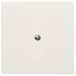 Busch-Jaeger Blindabdeckung IP44 Tragring weiss 2138-32 – Bild 1