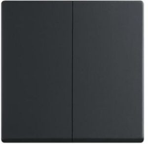 Busch-Jaeger Wippe 6736FOH-885 – Bild 1