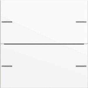 Gira Wippenset 2-fach Tastensor 4 System 55 Reinweiß glänzend 575203 – Bild 1