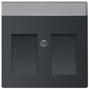 Busch-Jaeger Zentralscheibe 2-fach future linear schwarz-matt mit Beschriftungsfeld 1800-885 – Bild 1