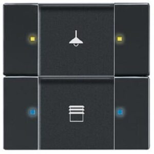 Busch-Jaeger Bedienelement 2/4-fach programmierbar mit Beschriftungsfeld 6126/02-885 – Bild 1