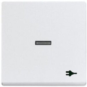 Busch-Jaeger Kontrollwippe Stecker future linear alusilber 1789ST-83 – Bild 1