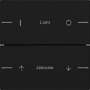 Gira Wippenset 2fach individuell für Tastsensor4 System 55 Schwarz matt 5762005 – Bild 1