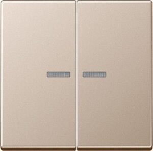 Jung KNX RF Taster 2fach KNX RF Taster 2fach A10921STRFCH – Bild 1