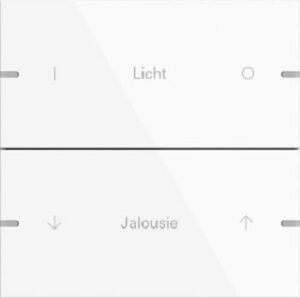 Gira Wippenset 2fach individuell für Tastsensor4 TS4 Reinweiß lackiert 5032903 – Bild 1