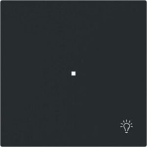 Busch-Jaeger Wippe 1-fach mit Symbol ''Licht'' 6231-10-45M – Bild 1