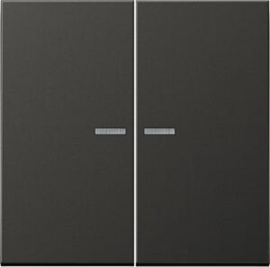 Jung KNX RF Taster 2fach KNX RF Taster 2fach AL10921STRFAN – Bild 1