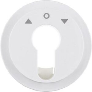 Berker Zentralstück polarweiß glänzend für Jal.Schlüsselschalter 15062089 – Bild 1